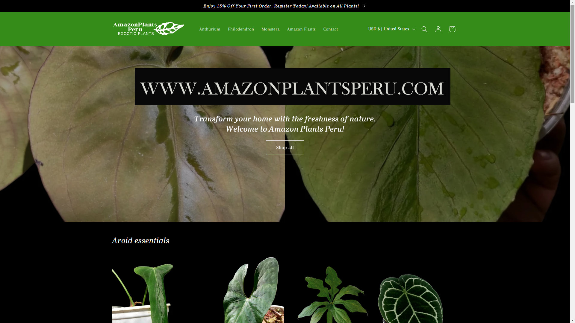 Anthurium Amazon Plants Peru Anthurium amazon plants peru