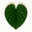 Amazon Plants Peru logo
