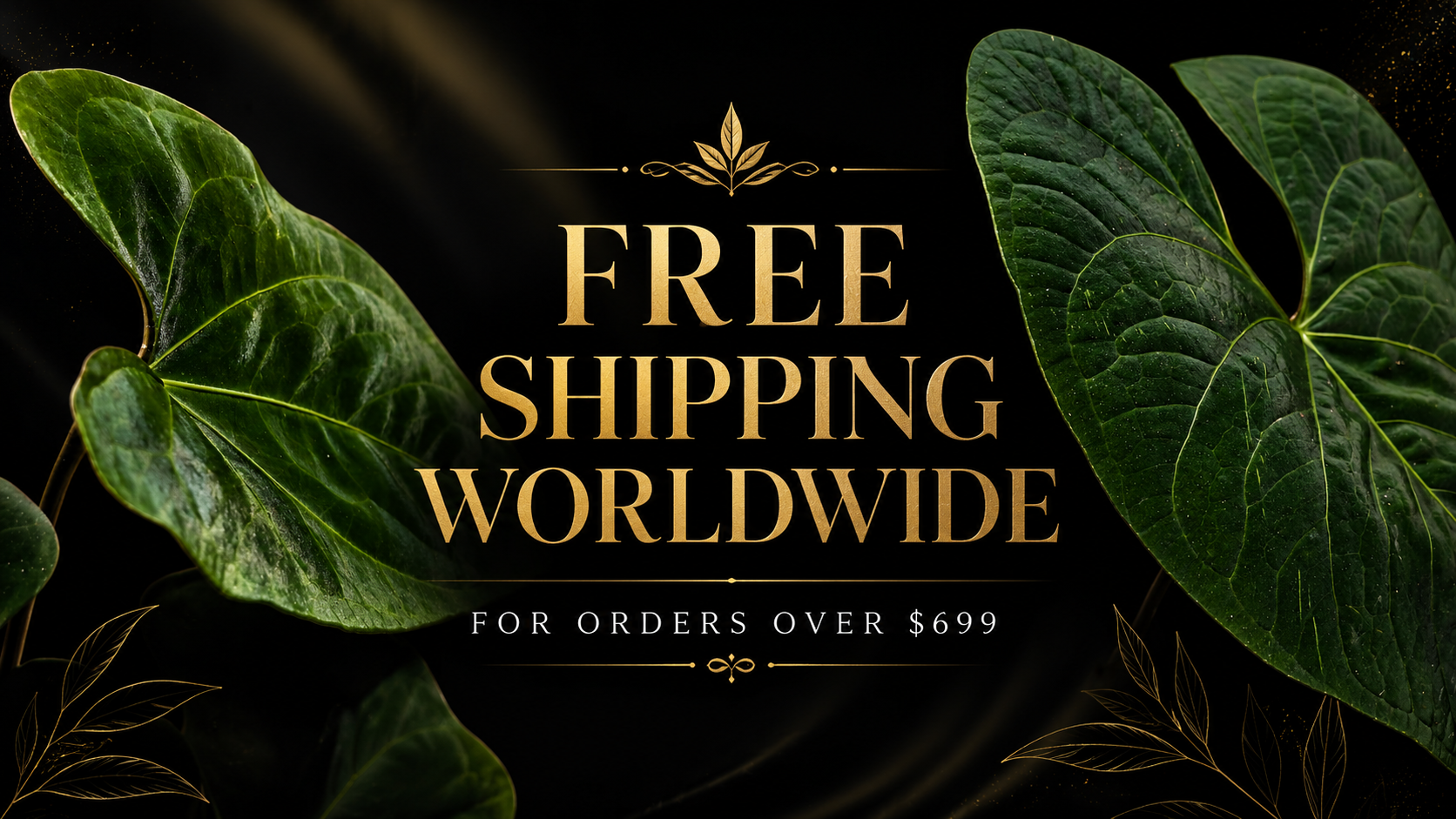 FREE SHIPPING WORLDWIDE AMAZON PLANTS PERU